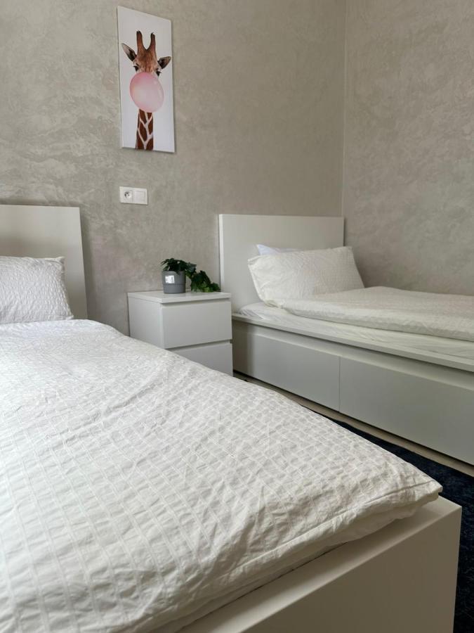 Ifrane Apartment With Swimming Pool מראה חיצוני תמונה